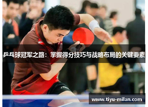 乒乓球冠军之路：掌握得分技巧与战略布局的关键要素