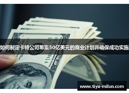 如何制定卡特公司筹集50亿美元的商业计划并确保成功实施