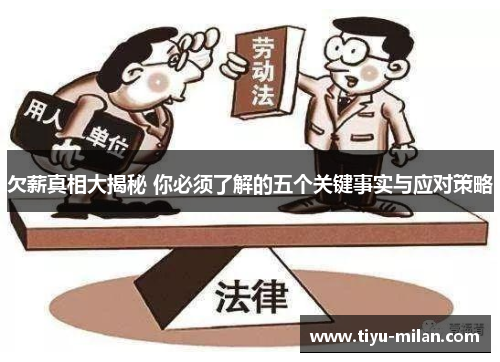 欠薪真相大揭秘 你必须了解的五个关键事实与应对策略
