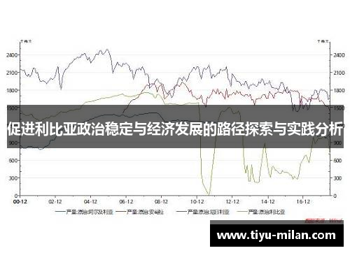 促进利比亚政治稳定与经济发展的路径探索与实践分析