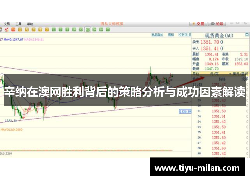 辛纳在澳网胜利背后的策略分析与成功因素解读