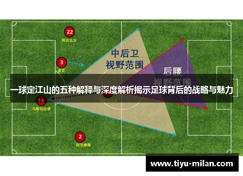 一球定江山的五种解释与深度解析揭示足球背后的战略与魅力