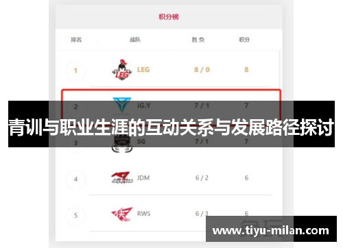 青训与职业生涯的互动关系与发展路径探讨